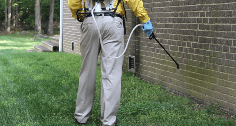 Guaranteed Pest Coverage